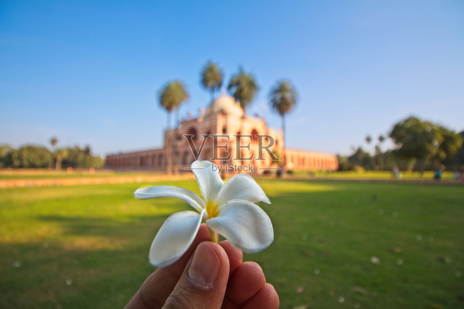 背景是美丽的鲜花和胡马云墓照片摄影图片