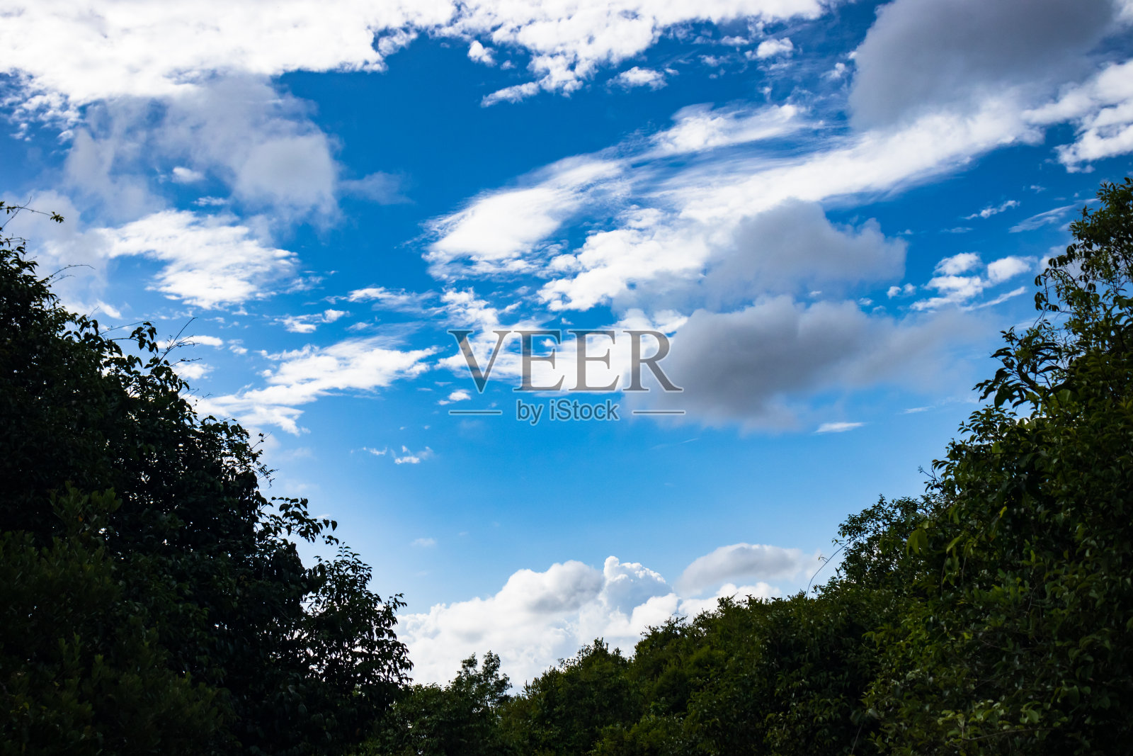 蔚蓝天空下生机勃勃的绿色景观照片摄影图片