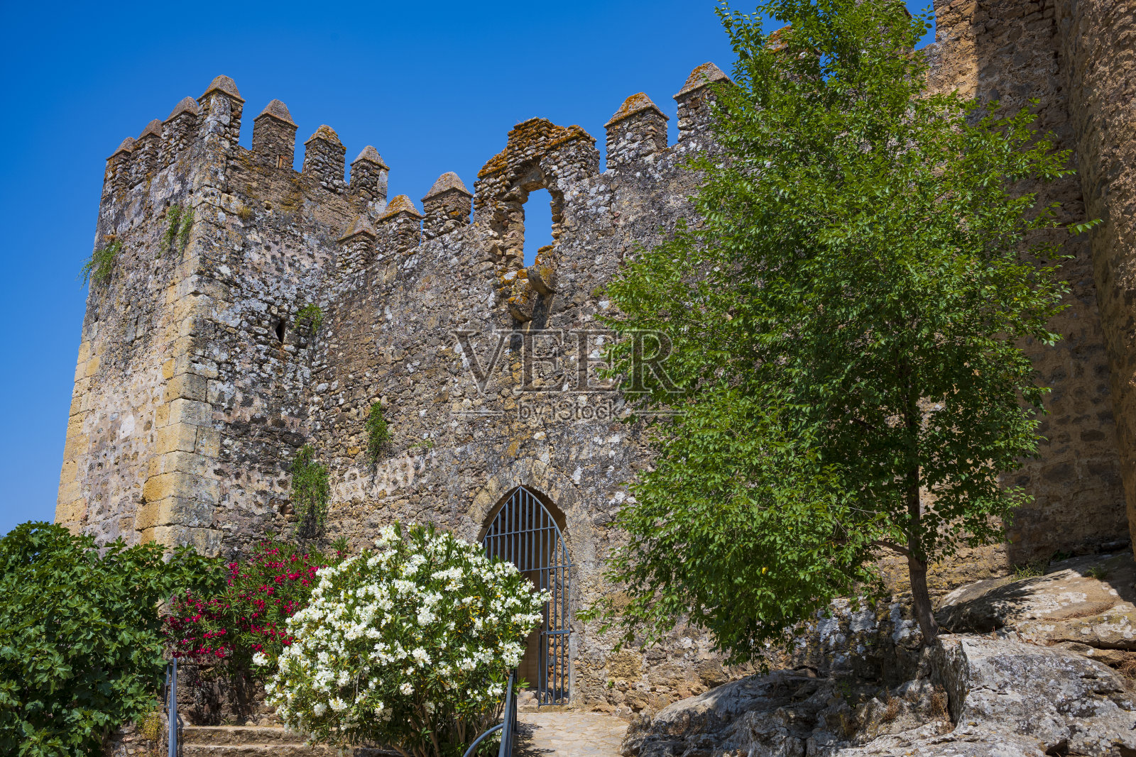 西班牙埃尔科罗纳尔的废弃石制阿古扎德拉城堡，是一座14世纪的莫里什城堡，在一个晴朗无云的夏日，坐落在一片向日葵花丛中。照片摄影图片