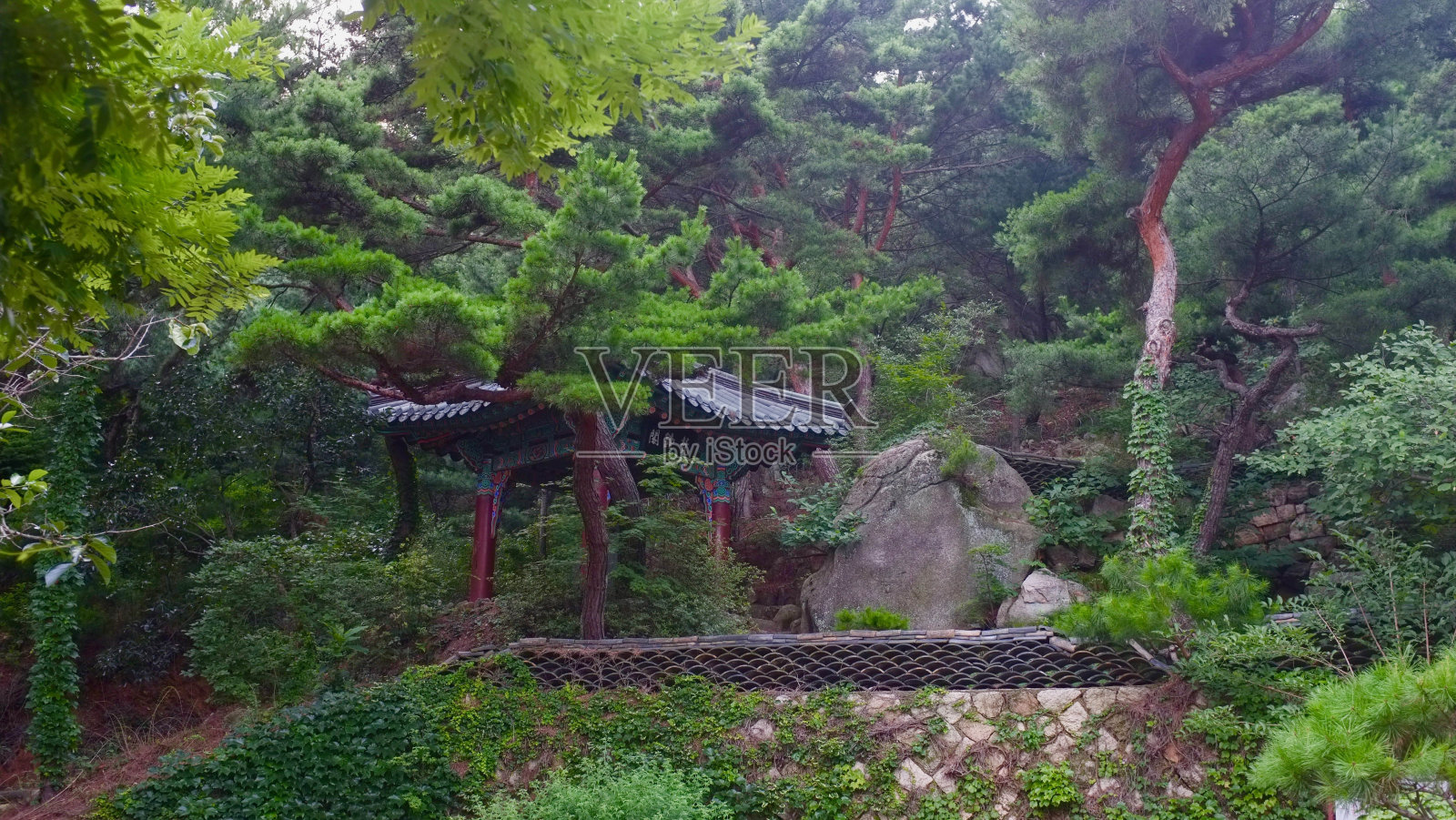 佛寺的壁龛。韩国首尔的国家公园照片摄影图片