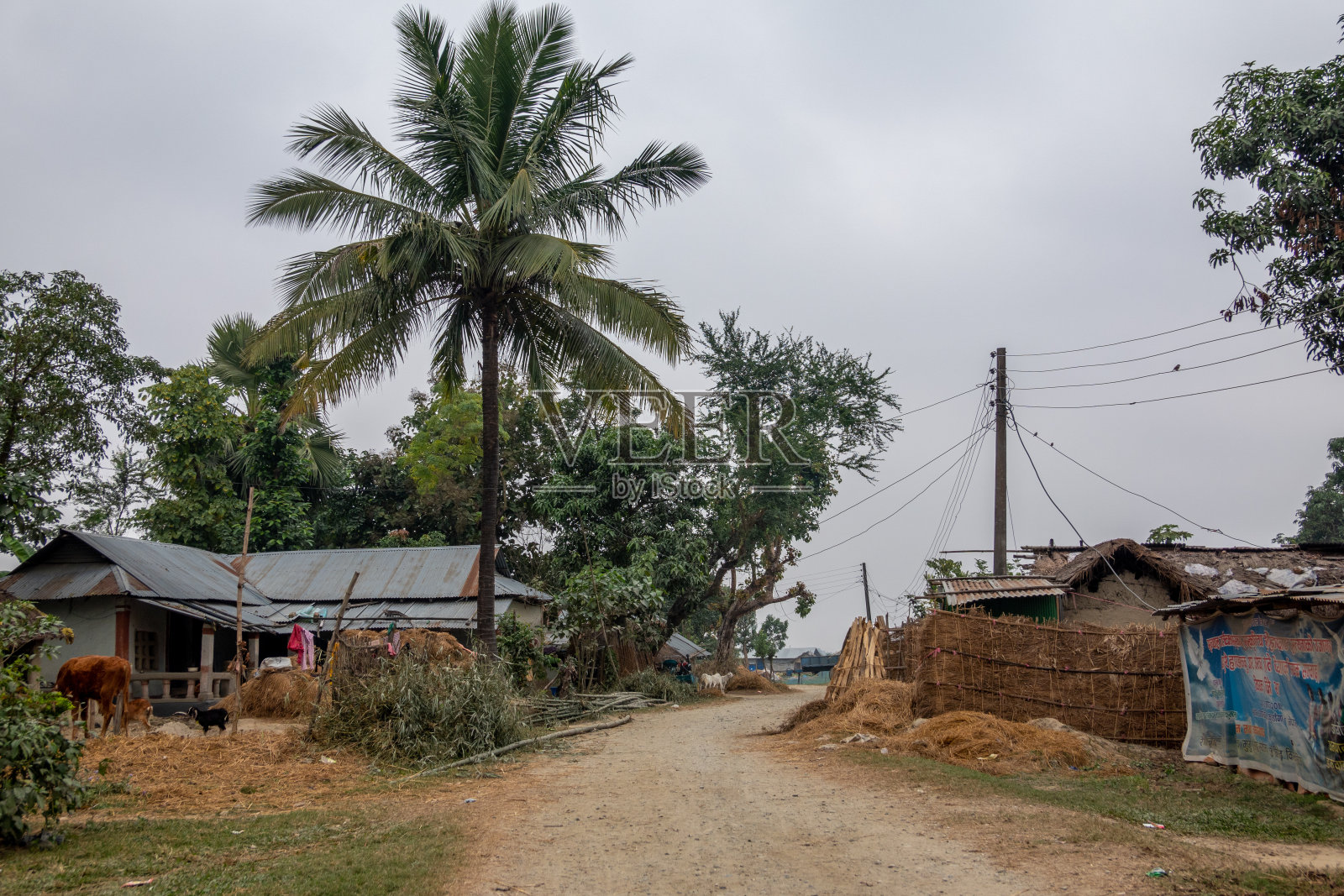 尼泊尔的乡村生活照片摄影图片