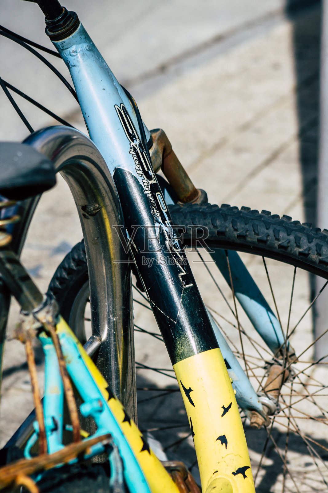 以色列的颜色照片摄影图片