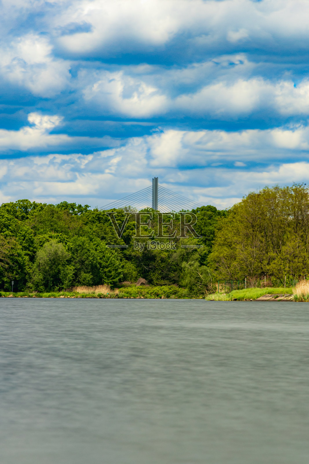 美丽的风景在阴天，流动的河流在绿色的树木和灌木前面，上面有一座高桥照片摄影图片