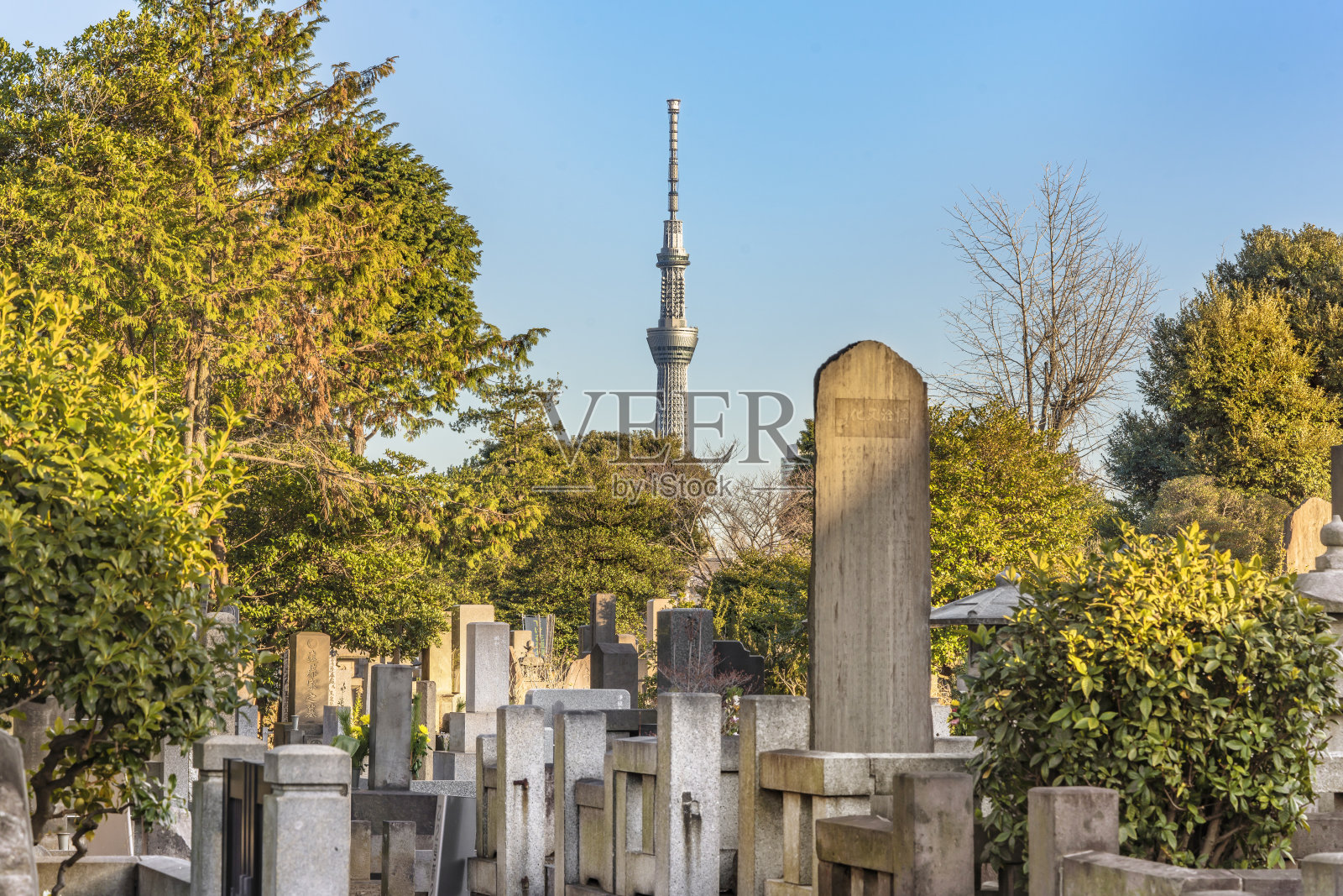 日本墓地在东京与天空树塔的背景。照片摄影图片