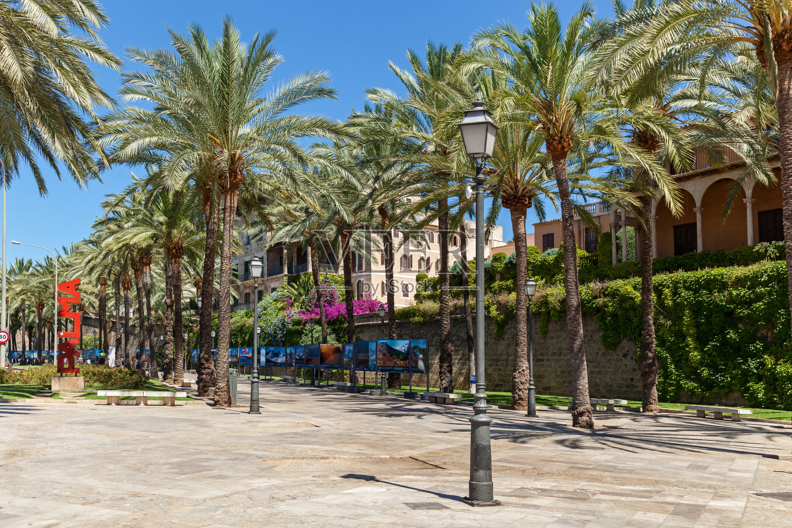 马尔略卡度假村照片摄影图片