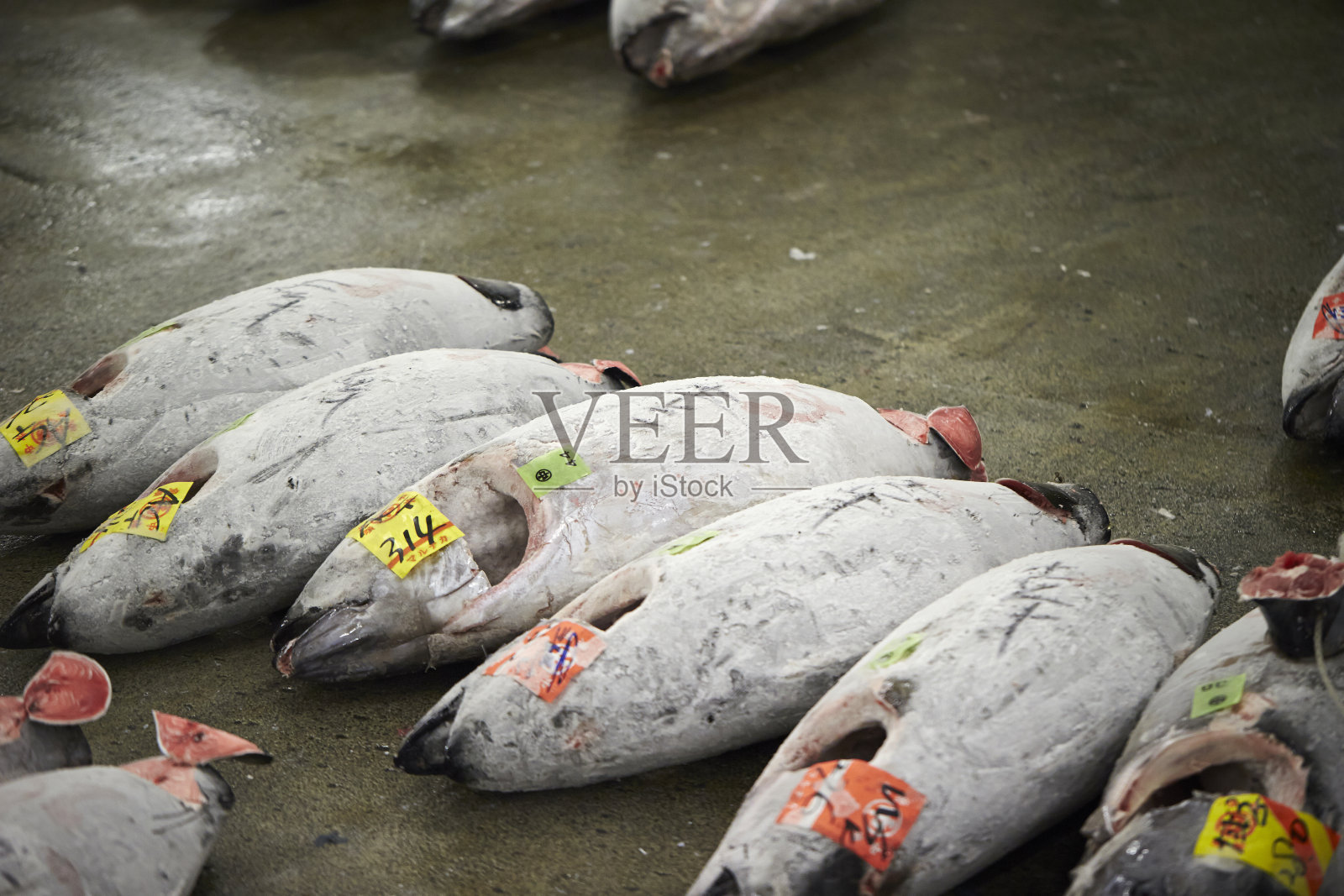 筑地鱼市场照片摄影图片