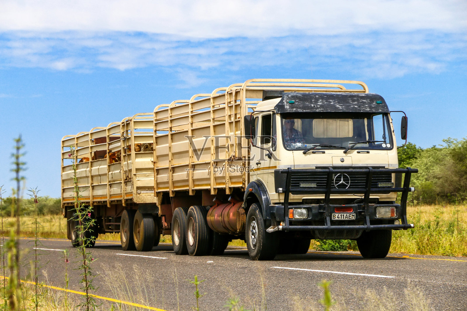 梅赛德斯-奔驰(mercedes - benz) NG照片摄影图片