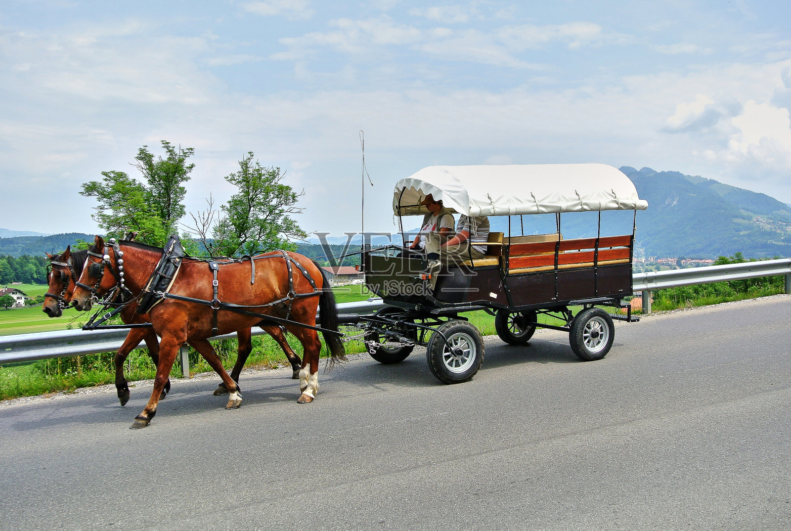 带有两匹棕色马的轮式马车照片摄影图片