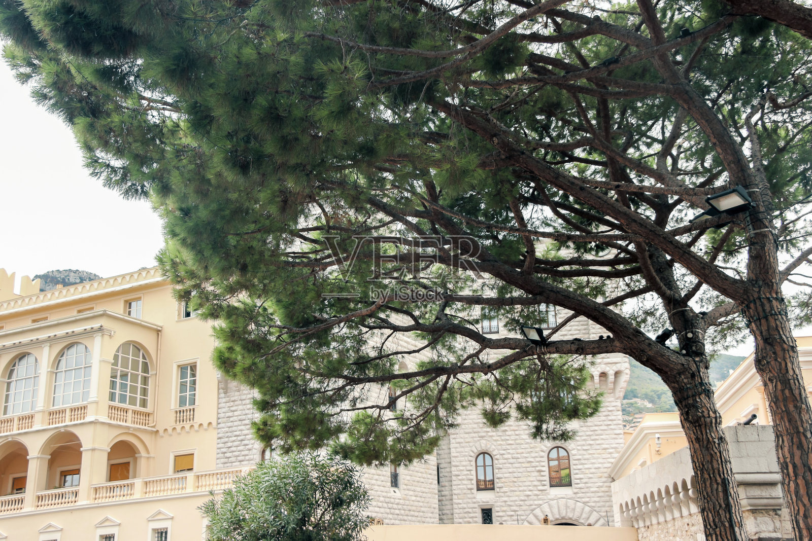 摩纳哥宫的植物和建筑照片摄影图片