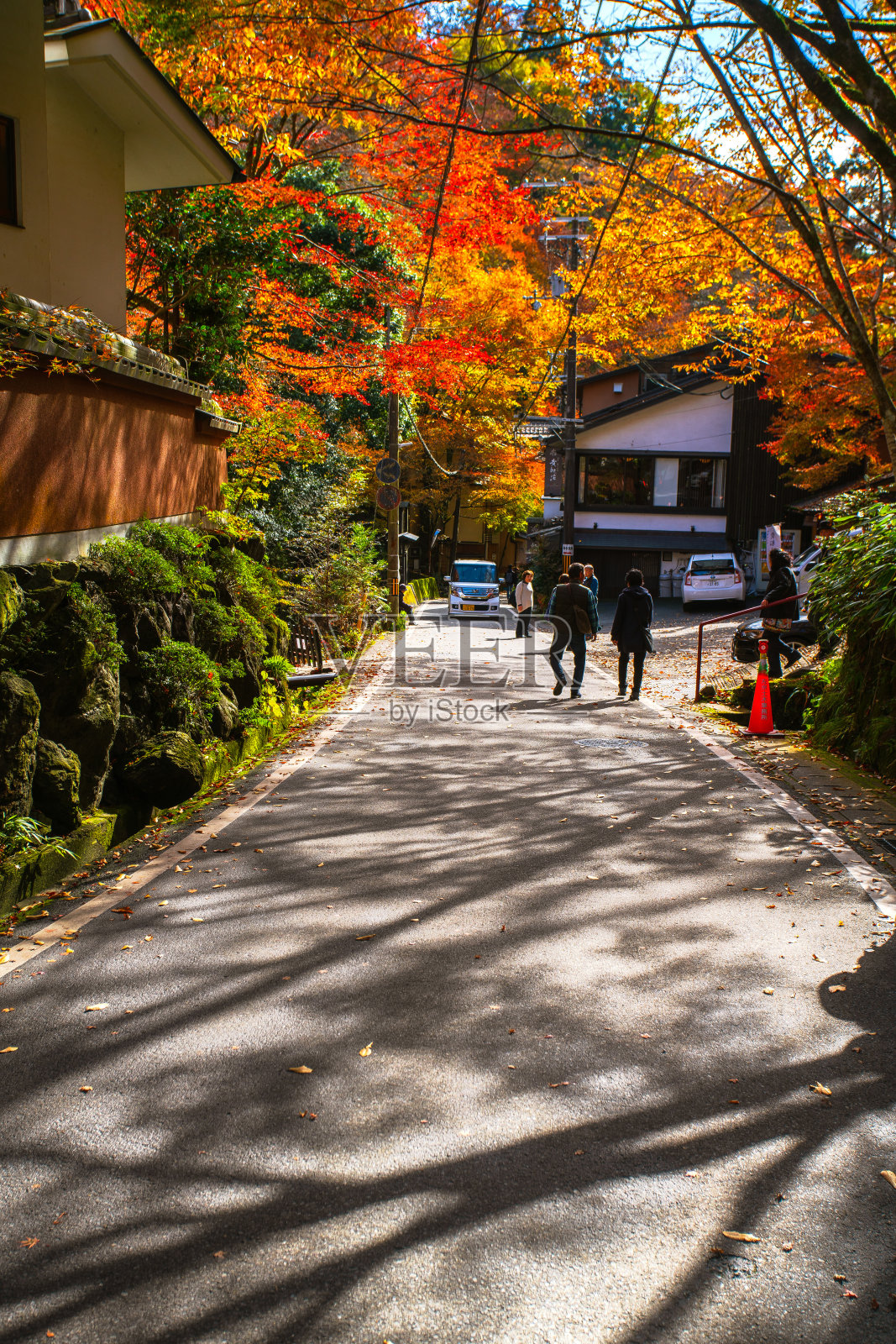 仓廪山的秋叶照片摄影图片
