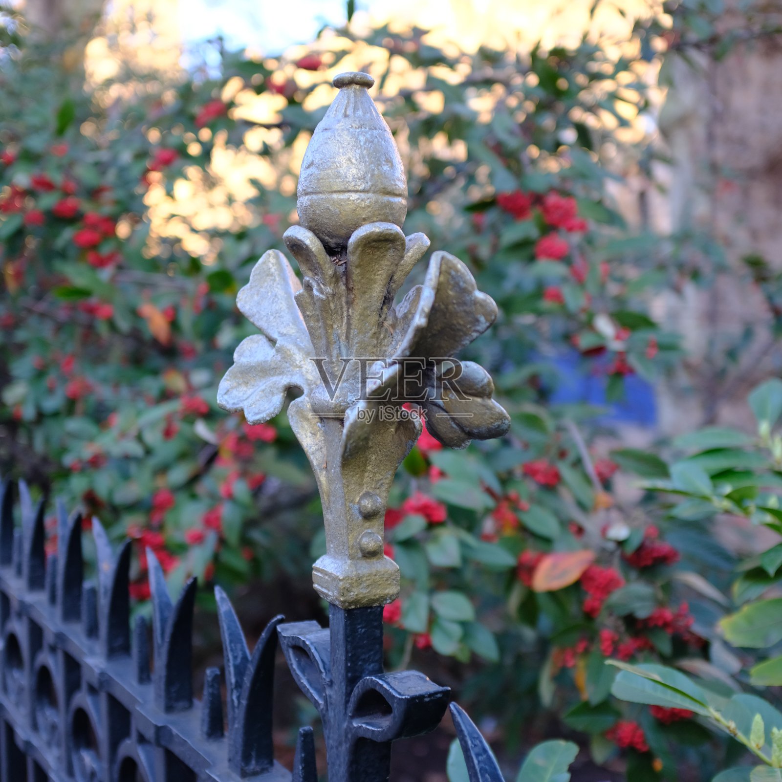 伦敦自然历史博物馆外的栏杆细节照片摄影图片