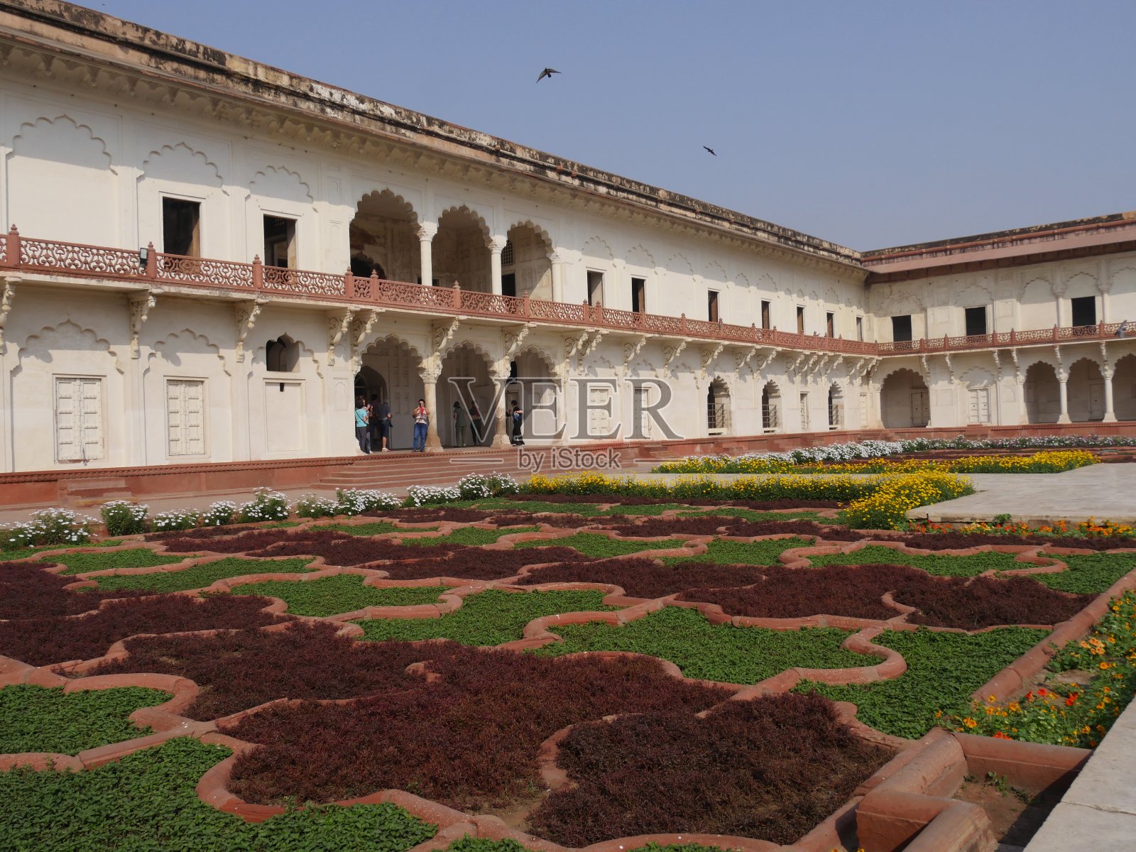 近距离观看阿格拉堡庭院中五彩缤纷的花园。照片摄影图片