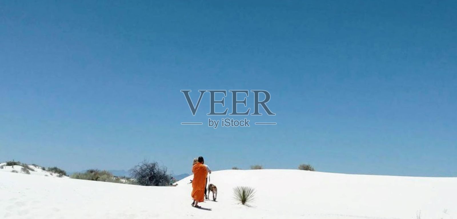 白沙，和尚和狗照片摄影图片