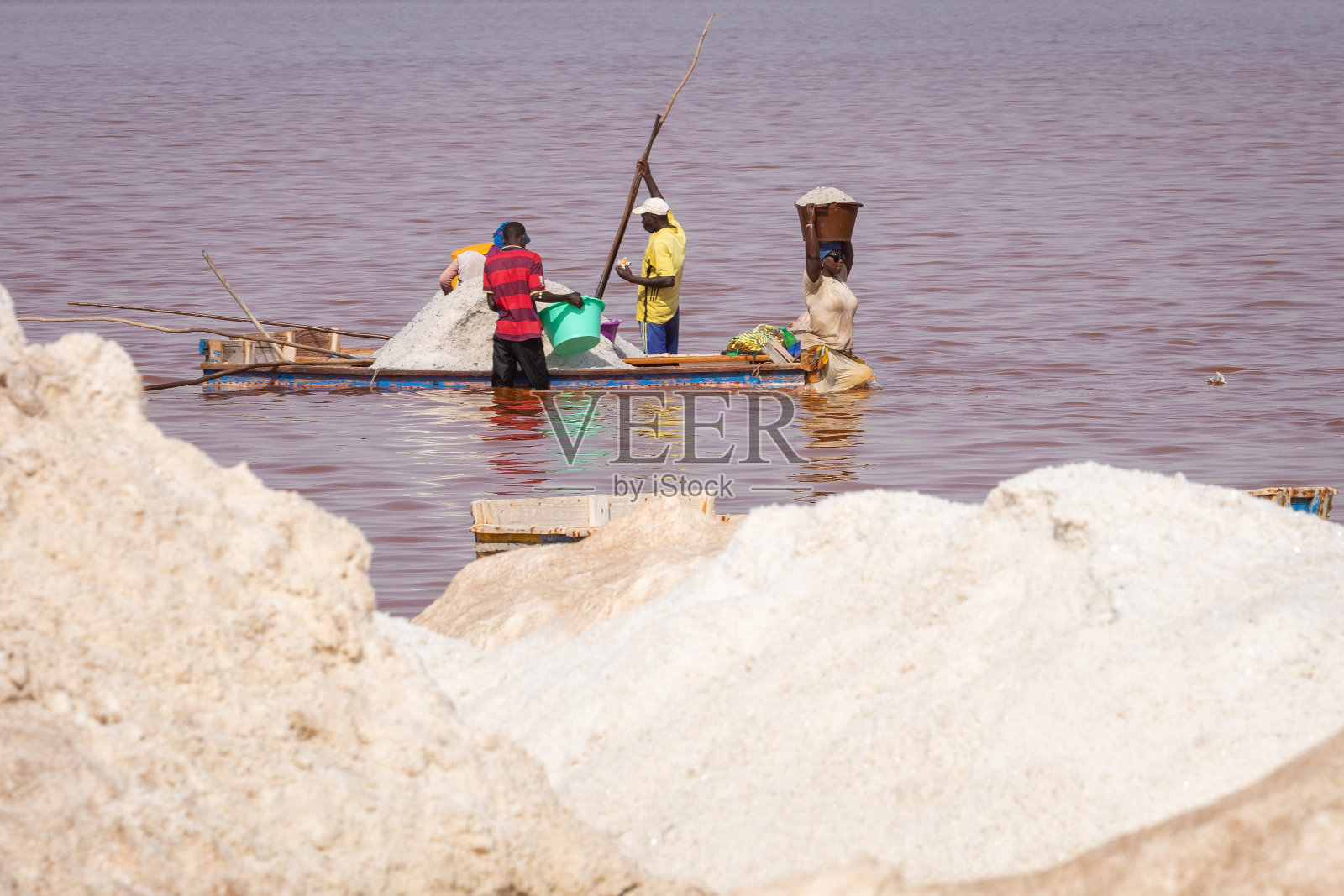 人们在紫胶玫瑰或瑞特巴湖收割盐。达喀尔。西非。联合国教科文组织世界遗产。照片摄影图片