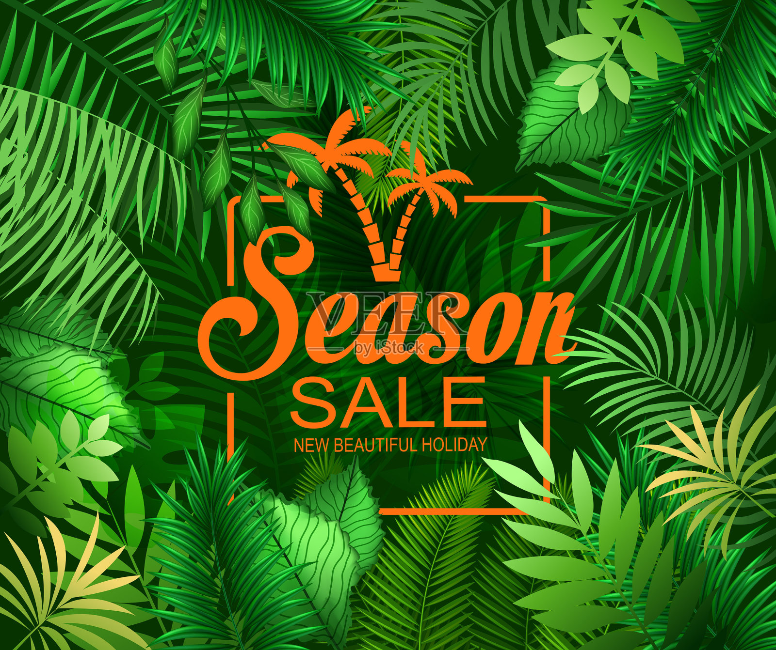 夏天植物的节日插画图片素材