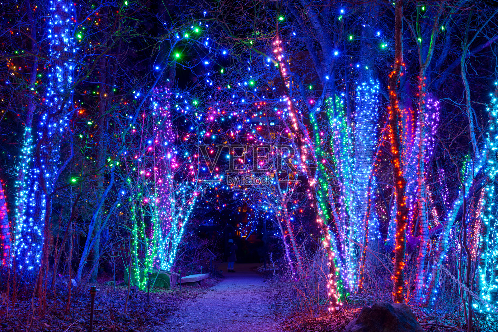 灯光之路-一个小的徒步小径的夜景，通过一个被五颜六色的灯光照亮的树林在丹佛植物园在它的节日光之花事件。美国科罗拉多州丹佛市。照片摄影图片