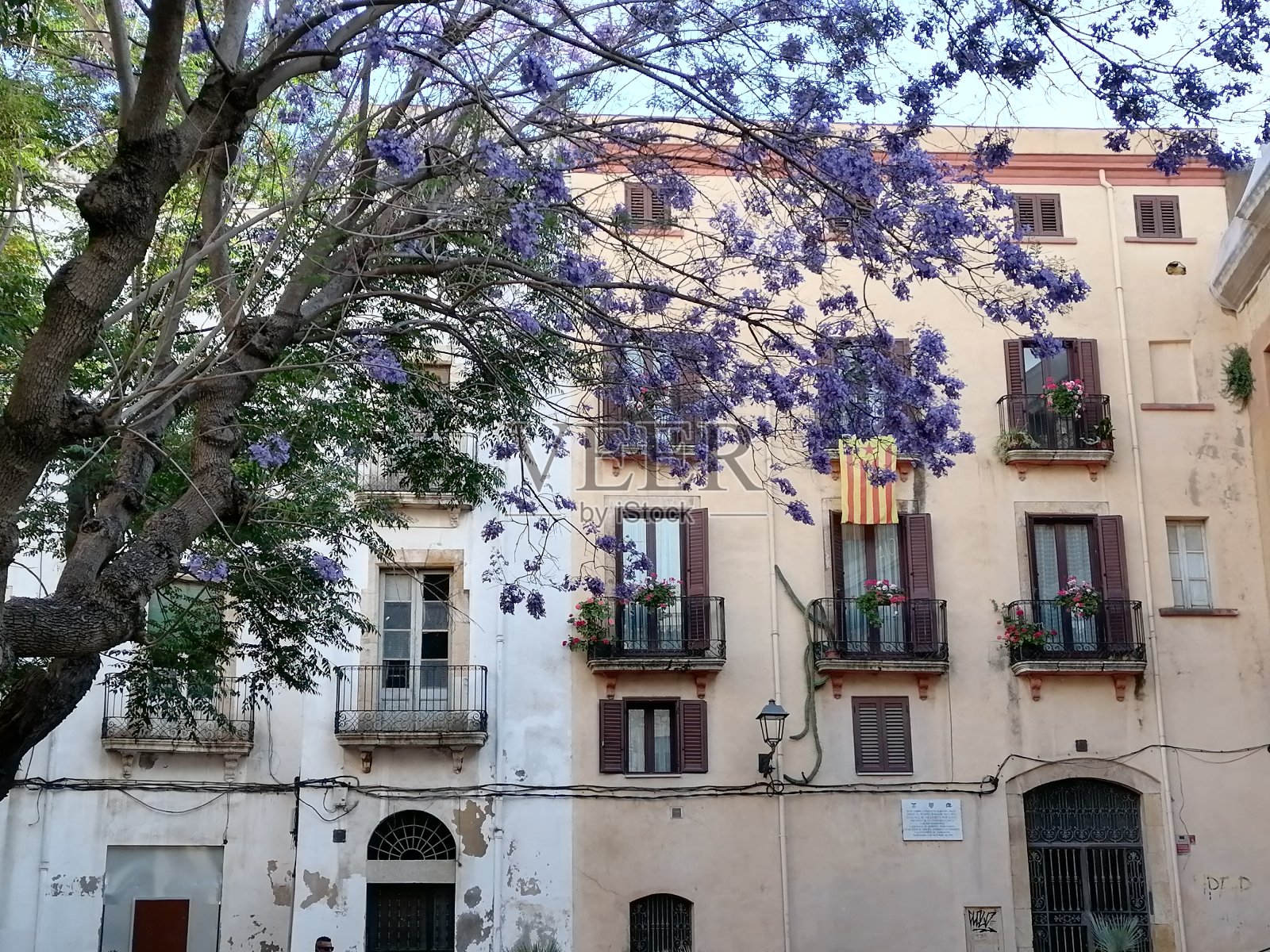 塔拉戈纳Plaça del Pallol (Pallol广场)的紫罗兰花和五颜六色的建筑照片摄影图片