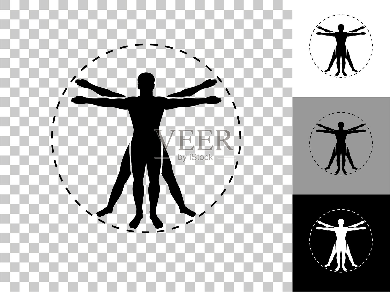 人体解剖图标在棋盘透明的背景插画图片素材
