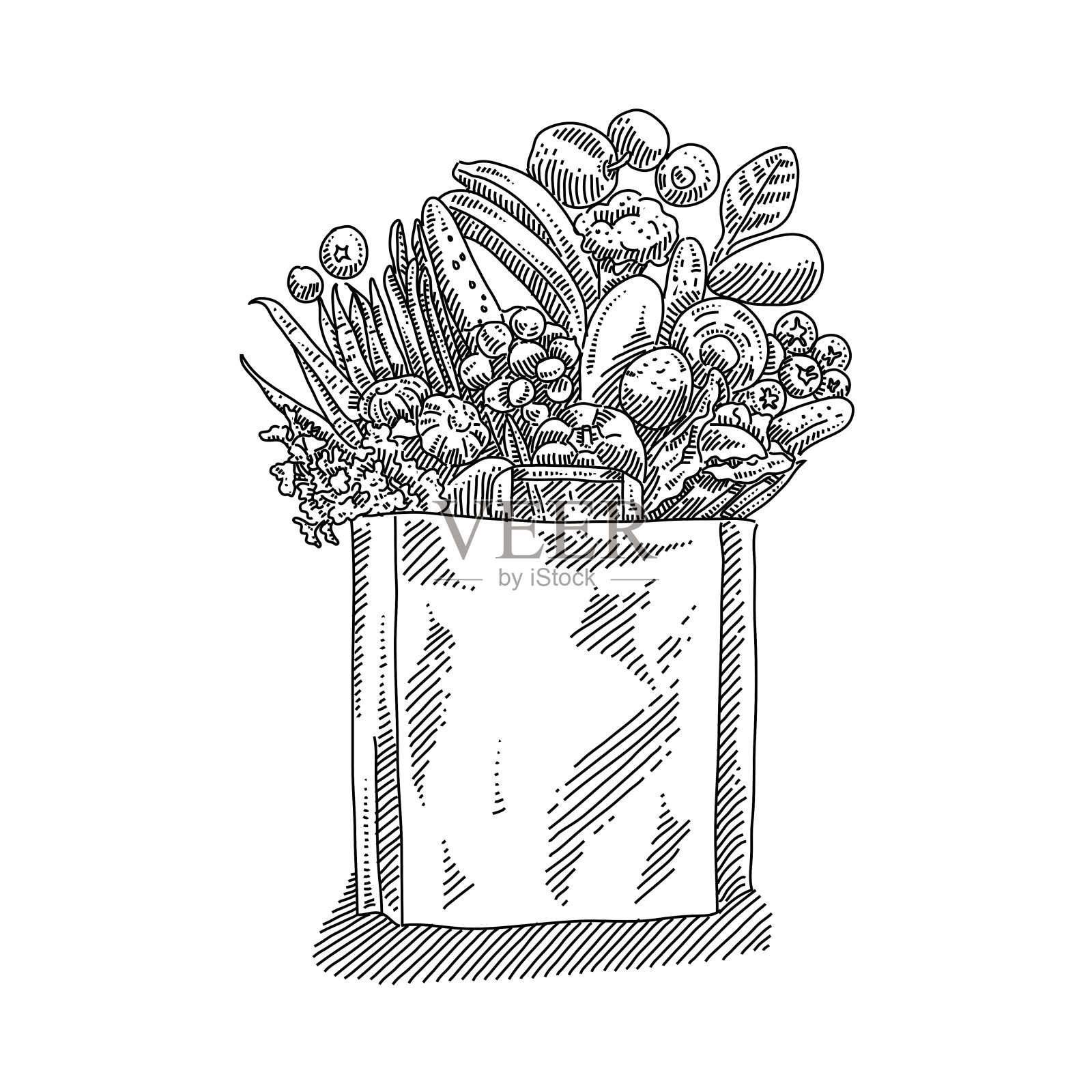 有机蔬菜画插画图片素材