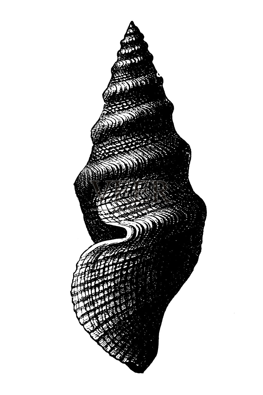 第三纪白垩纪和第四纪之间，属于或表示新生代的第一个时期，包括古近系和新近系两个亚时期插画图片素材