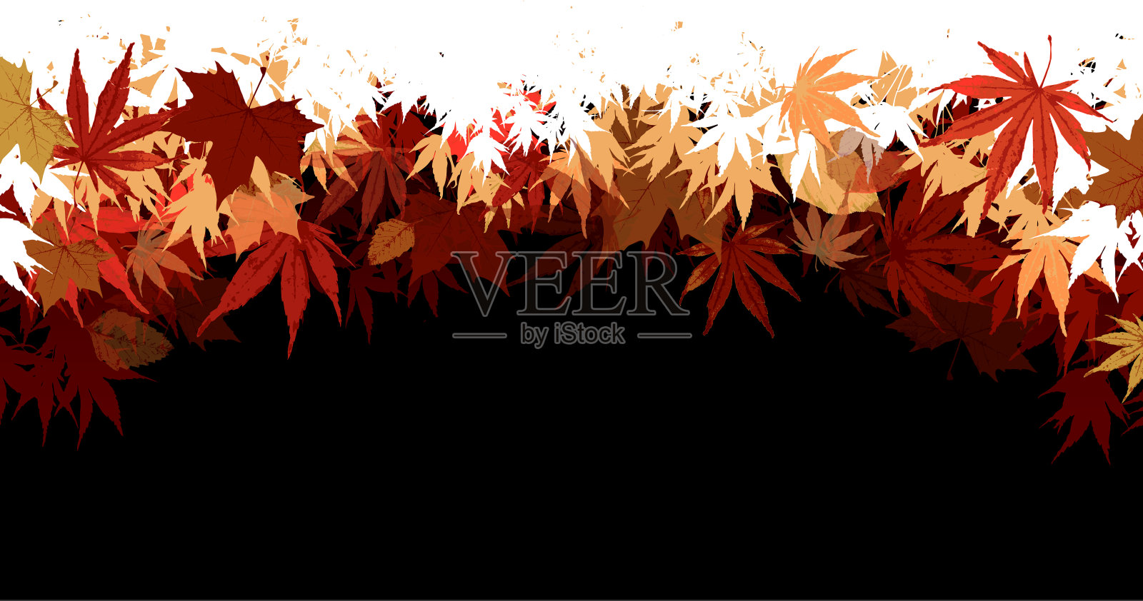 秋叶矢量图插画图片素材