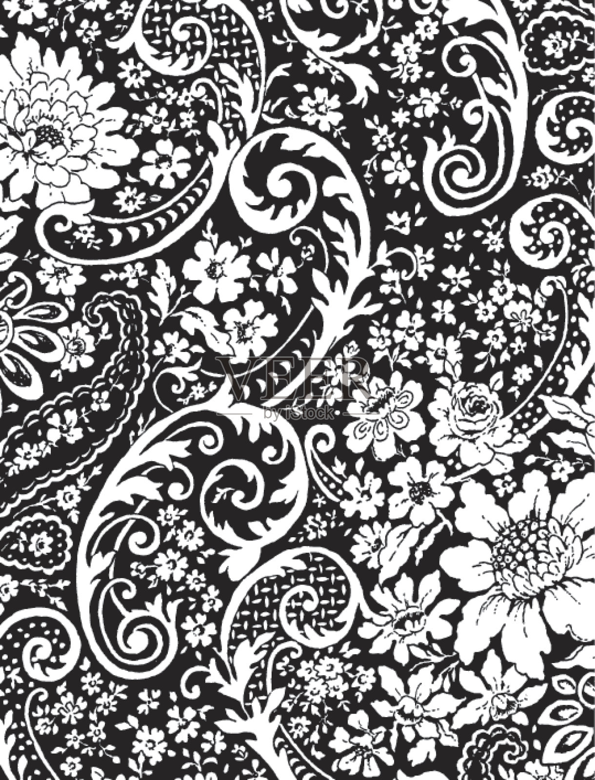 鲜花和漩涡插画图片素材