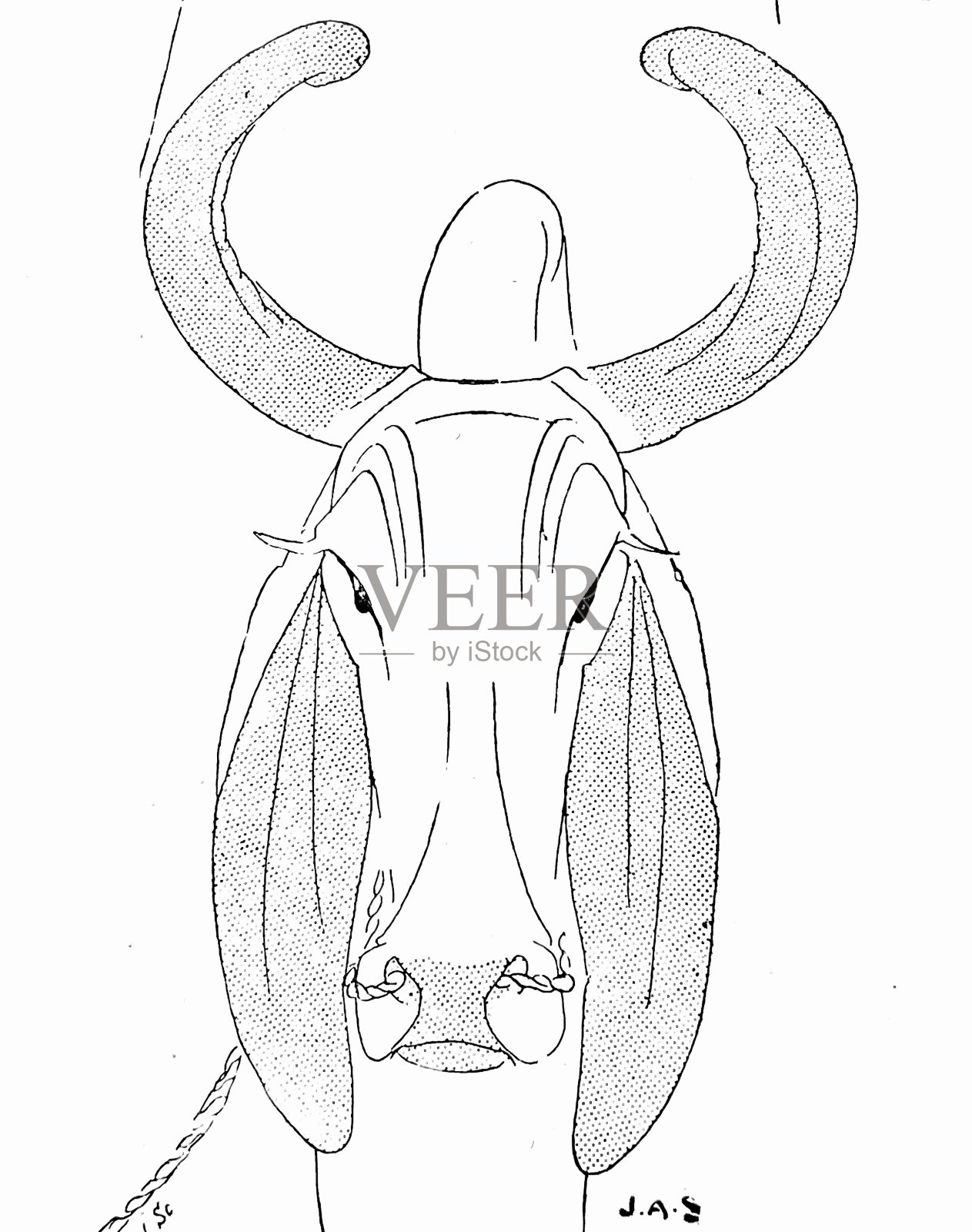 一只长着弯曲角的哑巴动物，看起来很愚蠢设计元素图片