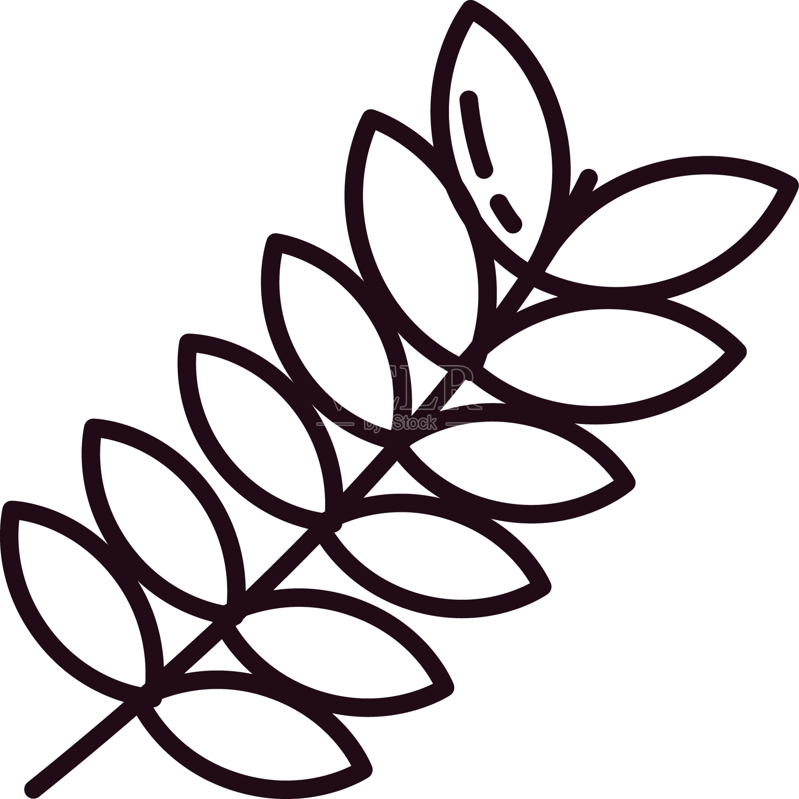 茎和叶设计元素图片