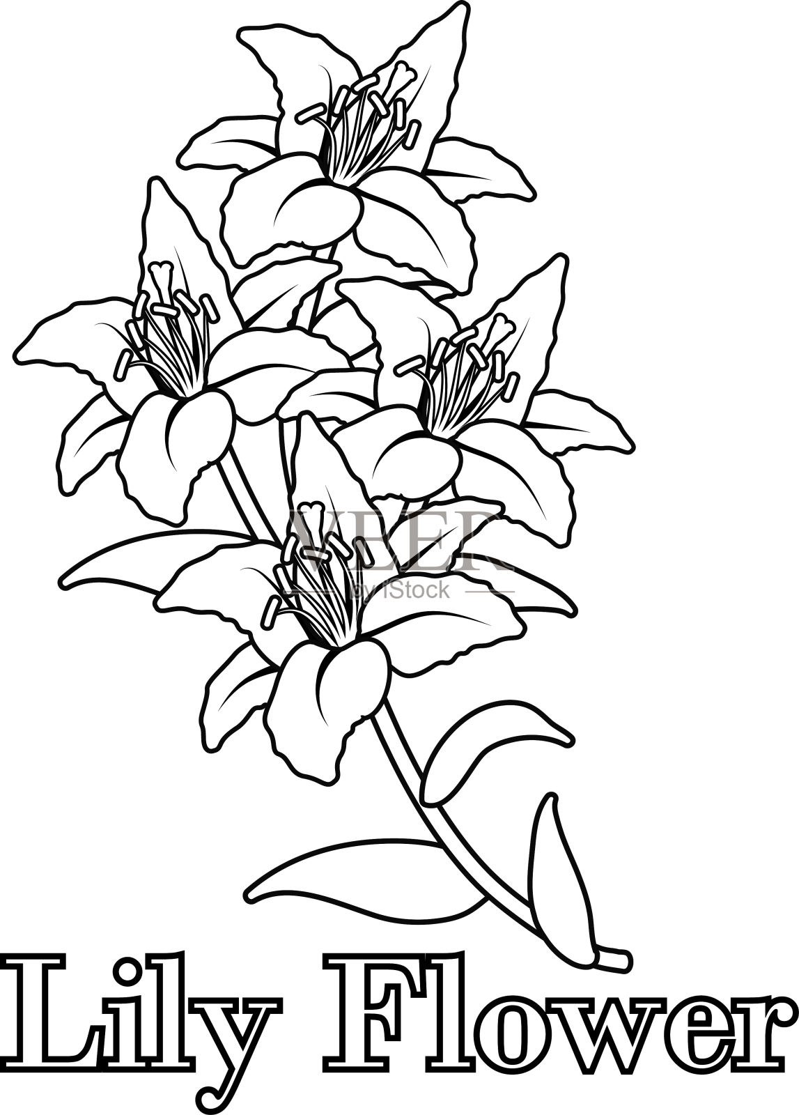 网络设计元素图片