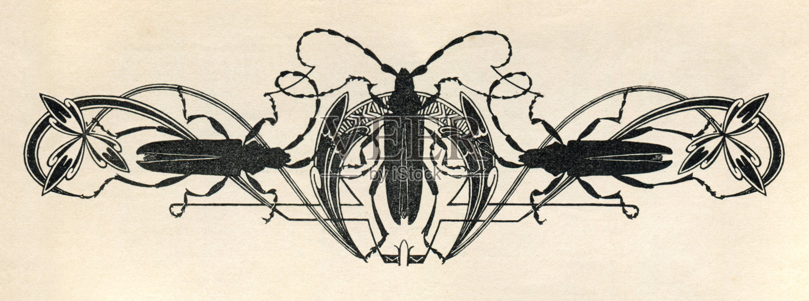 昆虫装饰新艺术1897年插画图片素材