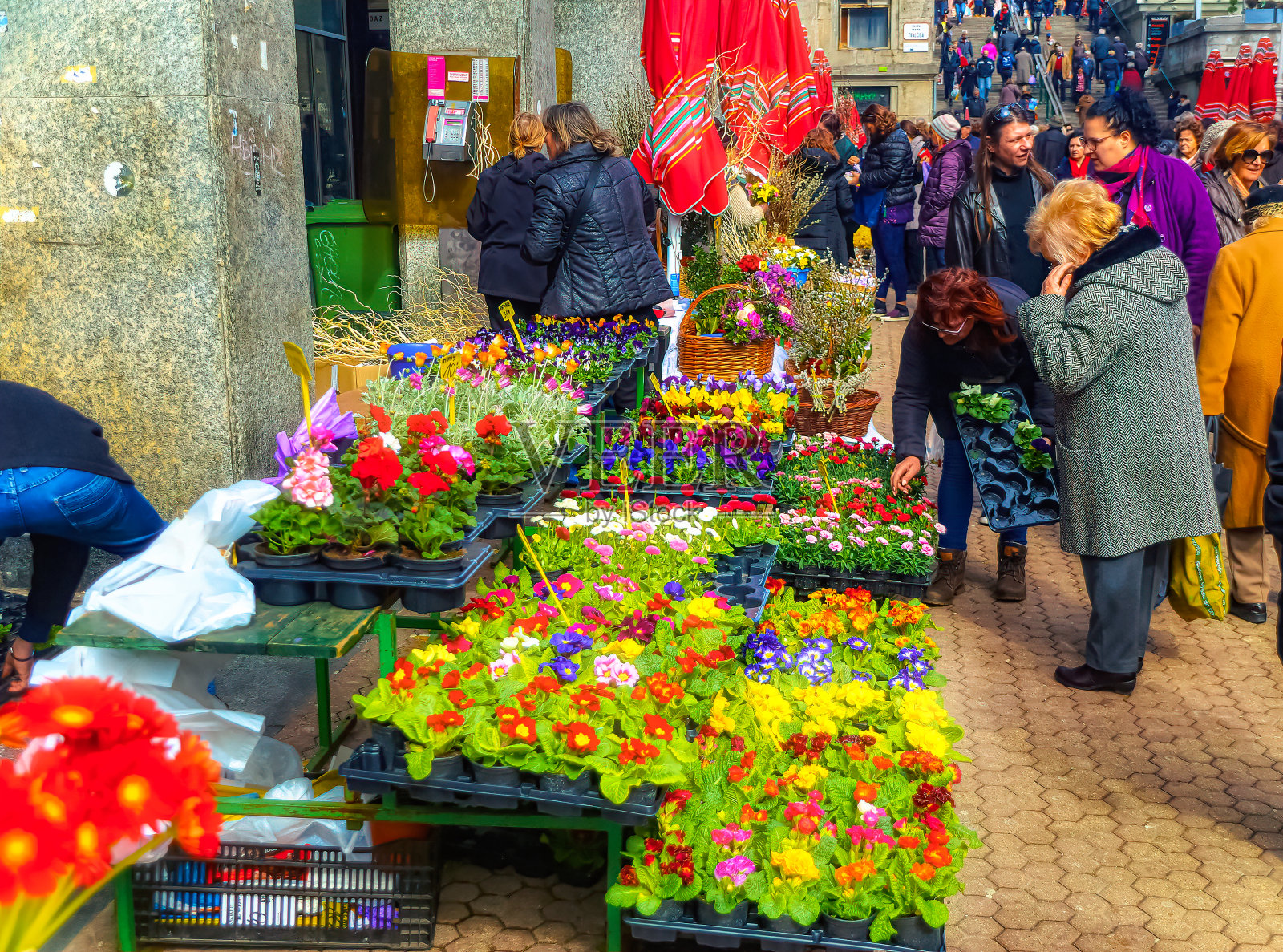 克罗地亚萨格勒布市中心的花市每天都有人。照片摄影图片