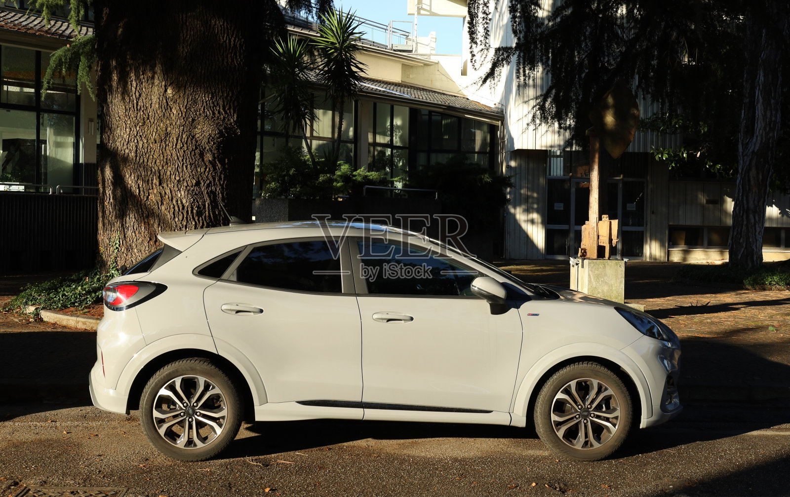 侧视图的新福特彪马St线X。照片摄影图片