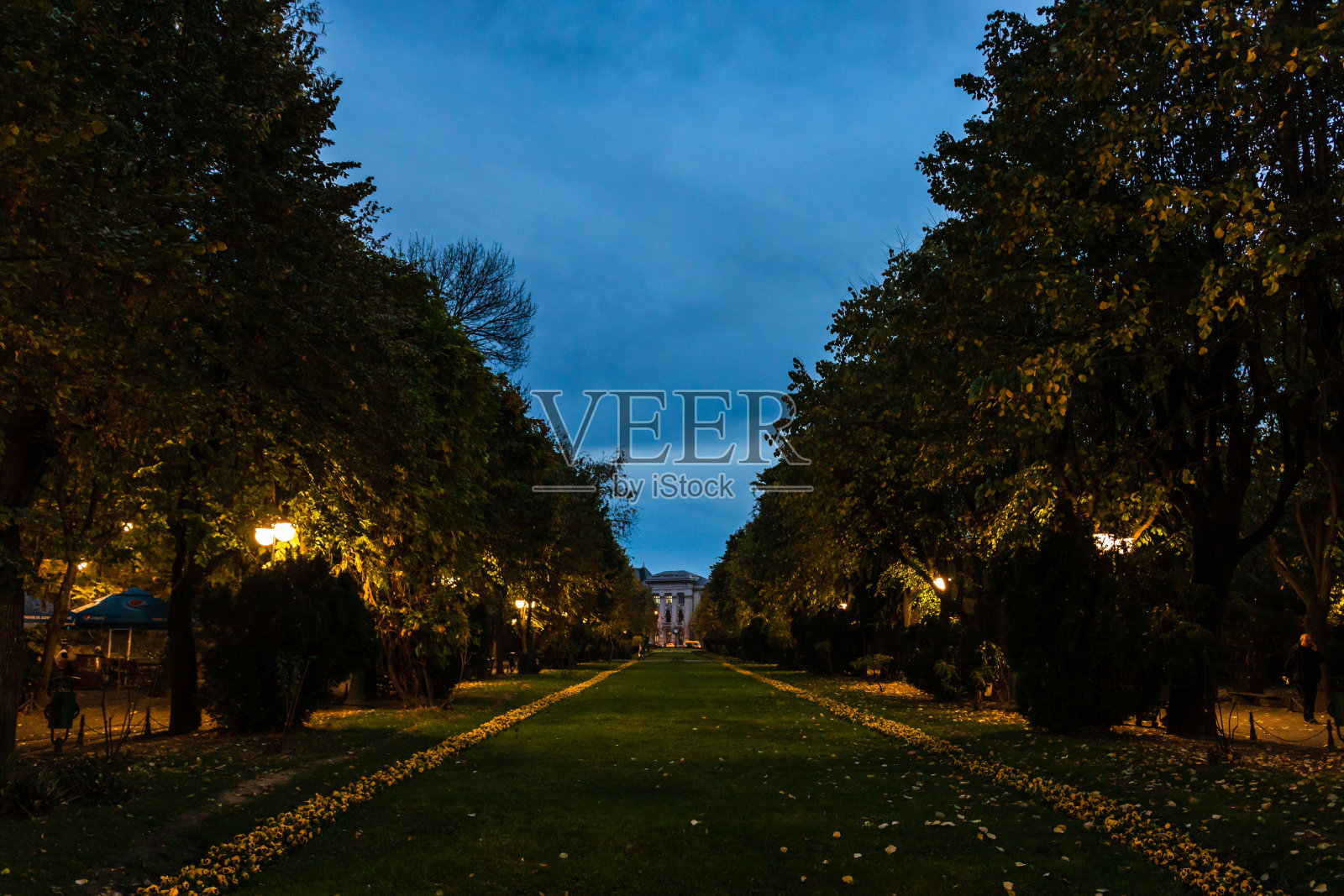 夜景。2021年，罗马尼亚首都布加勒斯特市中心，夜晚西斯米iu花园公园的黑暗小巷照片摄影图片