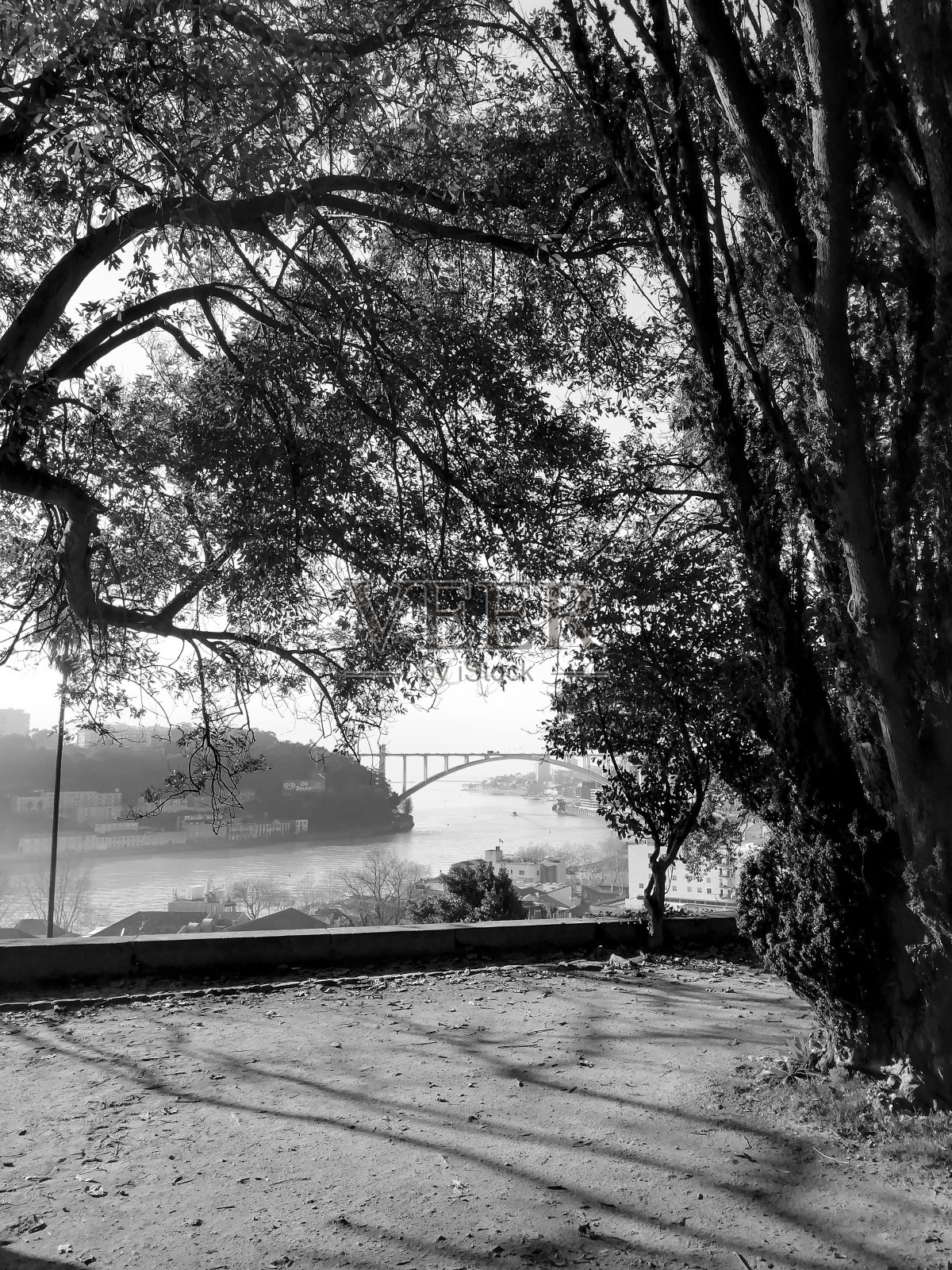 波尔图田园诗般的水晶宫花园照片摄影图片