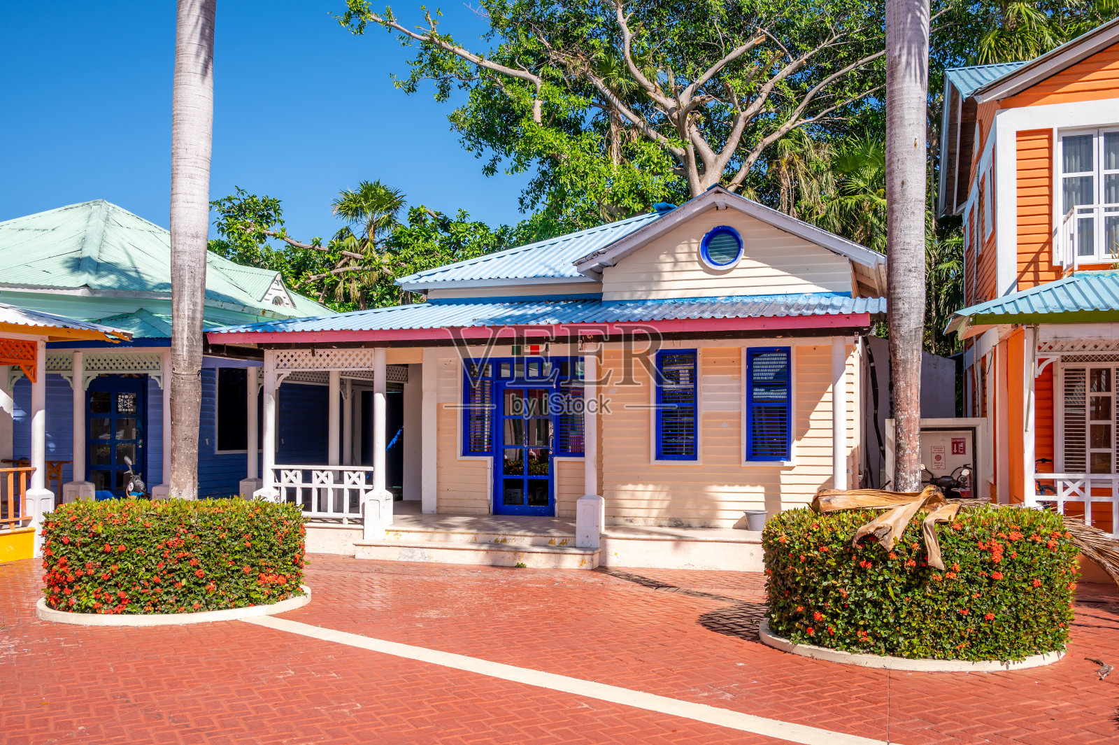 巴伊亚普林西比庄园多纳伊莎贝尔照片摄影图片