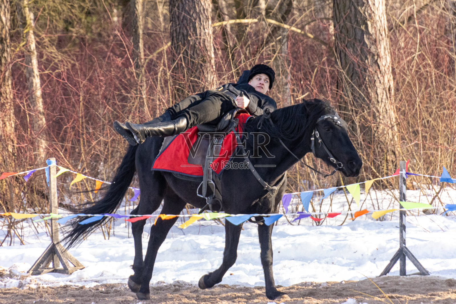 俄罗斯圣彼得堡市集上的马展照片摄影图片