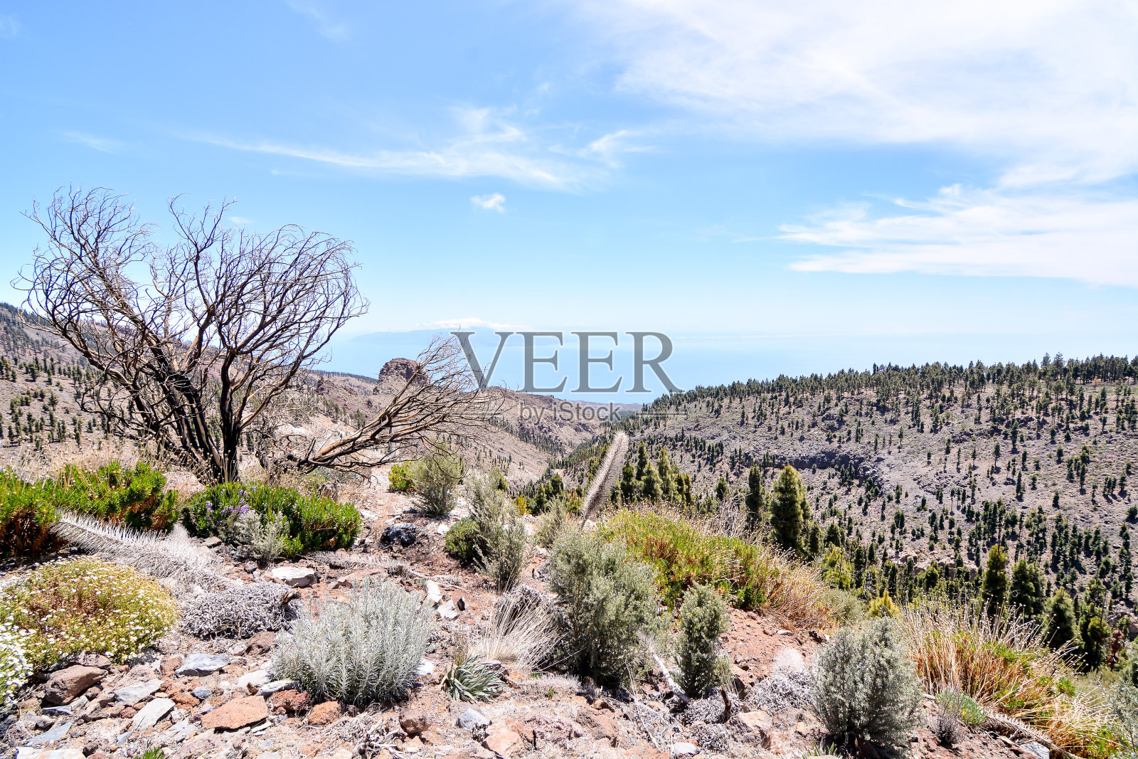 沙漠山谷景观照片摄影图片