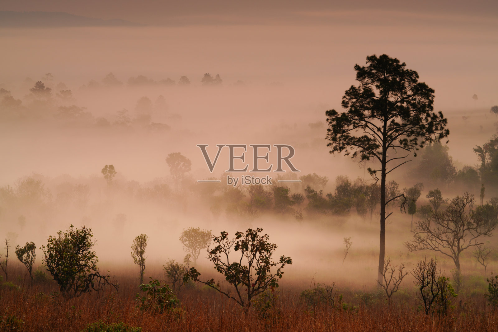 大自然美，草原风光美。照片摄影图片