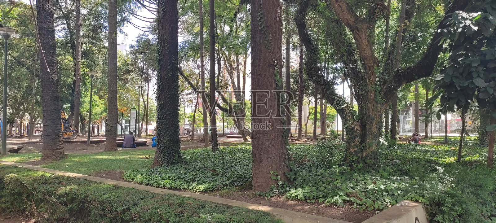 在库里提巴照片摄影图片