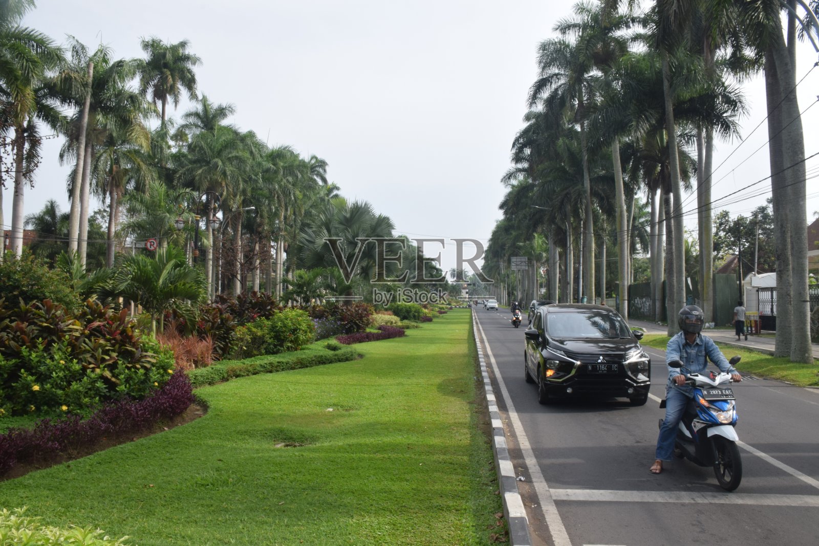 城市公园照片摄影图片
