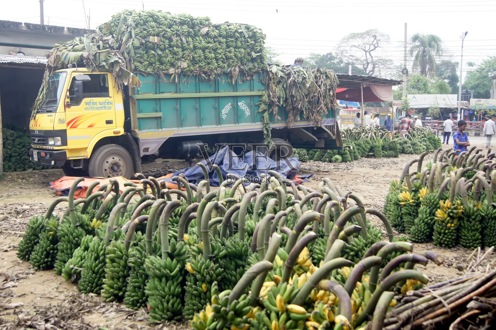 在斋月期间,香蕉需求量很大照片摄影图片