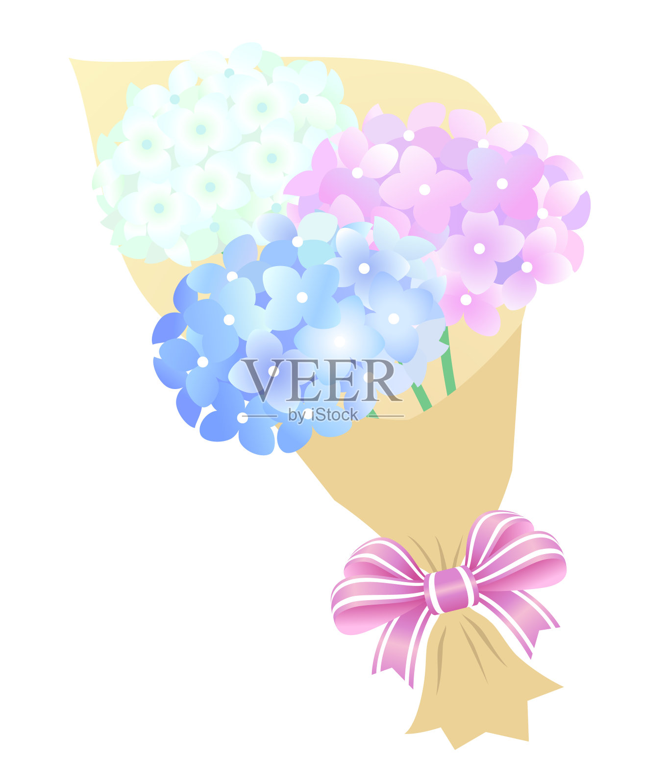 彩色绣球花的花束，孤立在白色的背景上设计元素图片