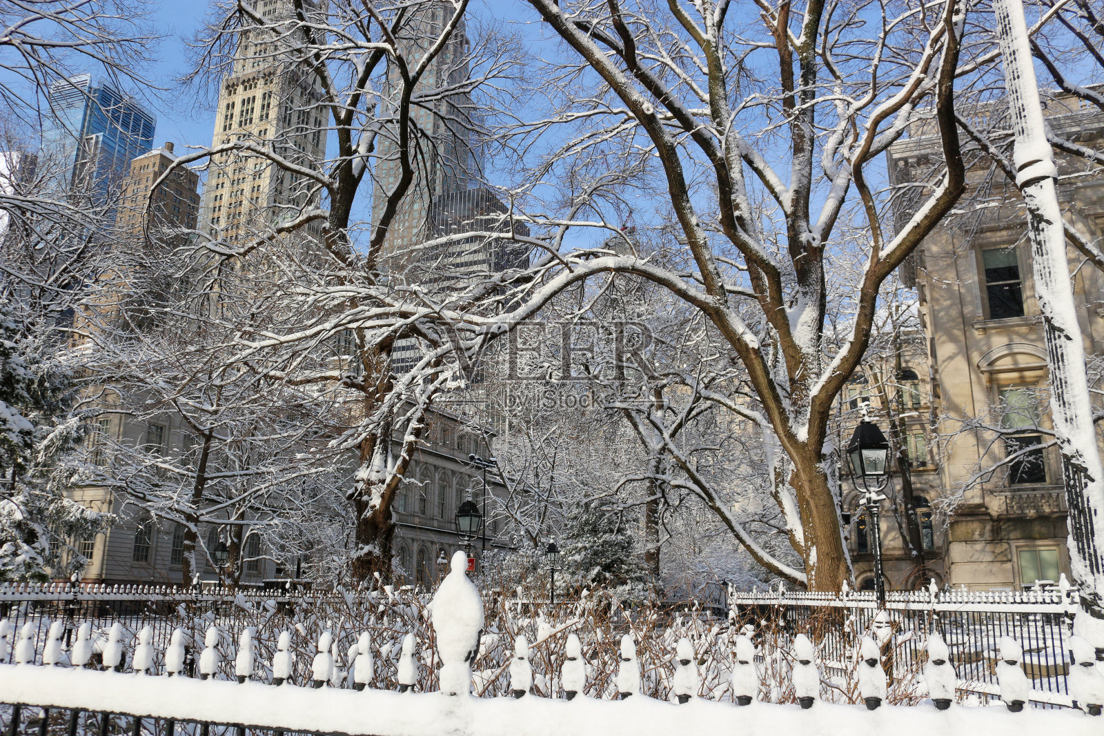纽约的第一场雪照片摄影图片