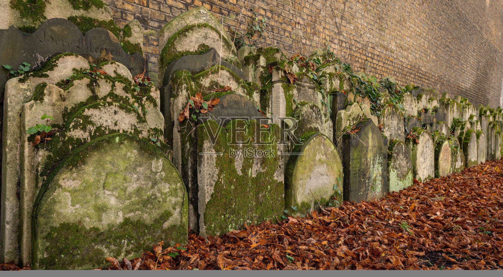 秋天的早晨，古老的墓碑和墓地在教堂花园。照片摄影图片