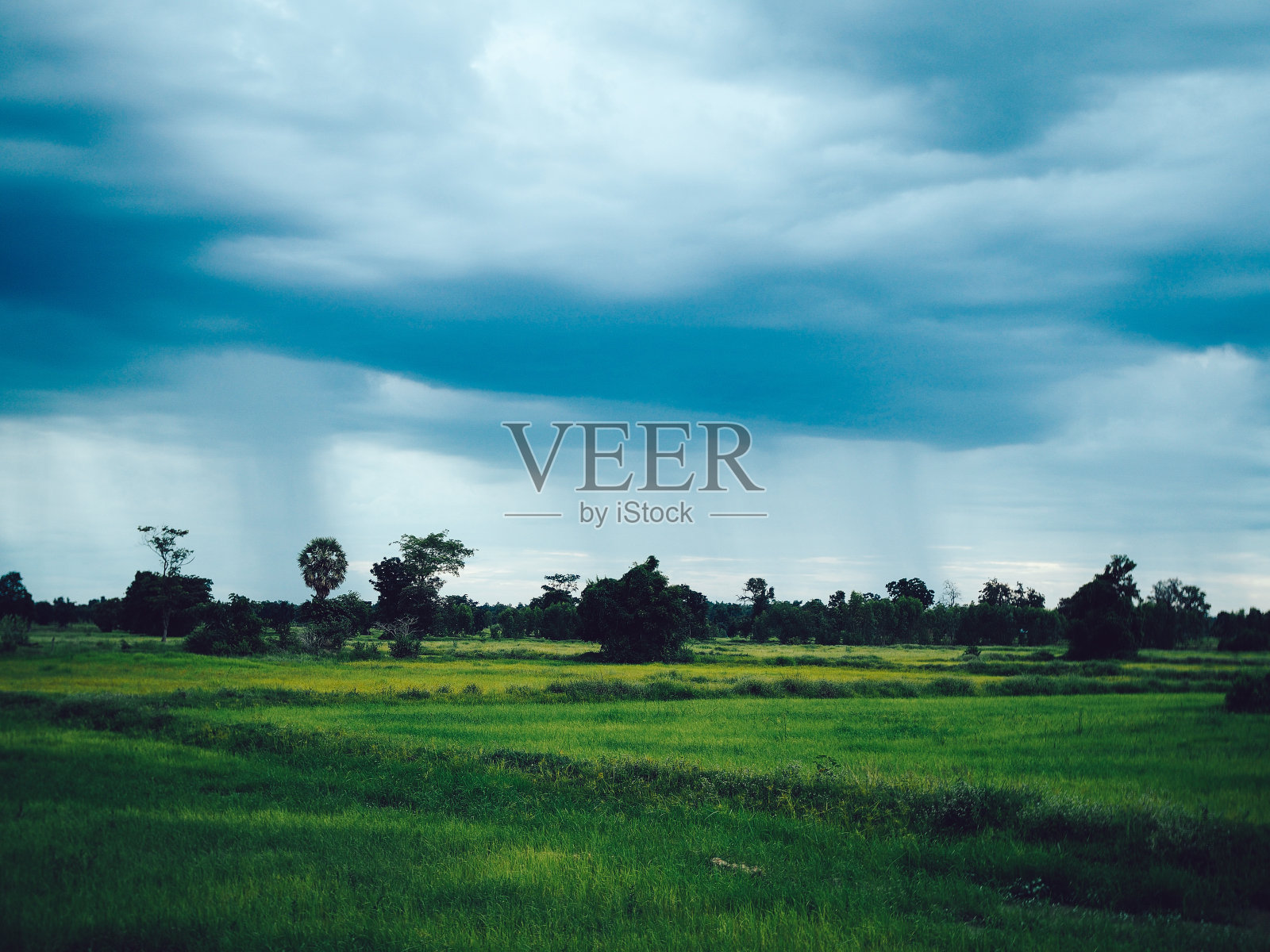 农田自然照片摄影图片