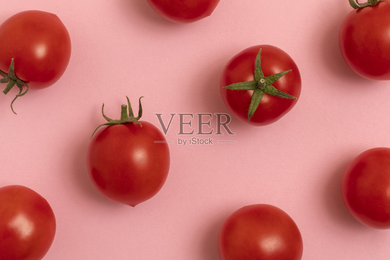 红色成熟的樱桃番茄。照片摄影图片