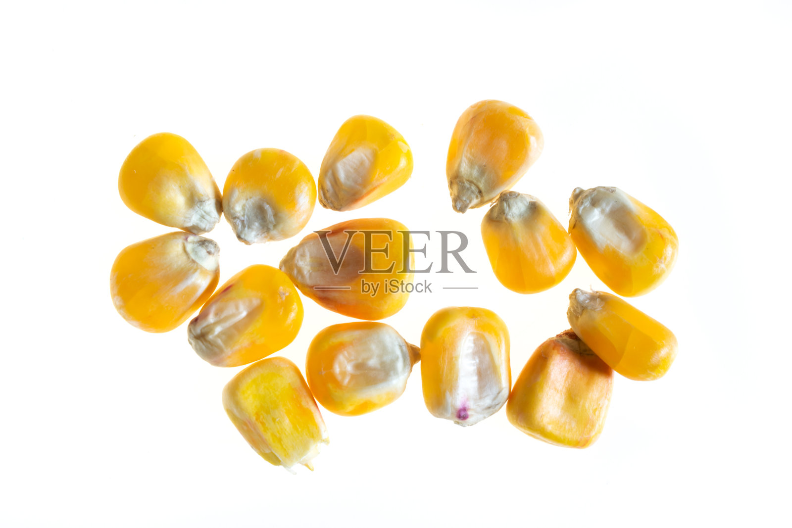 白色背景上的玉米粒照片摄影图片