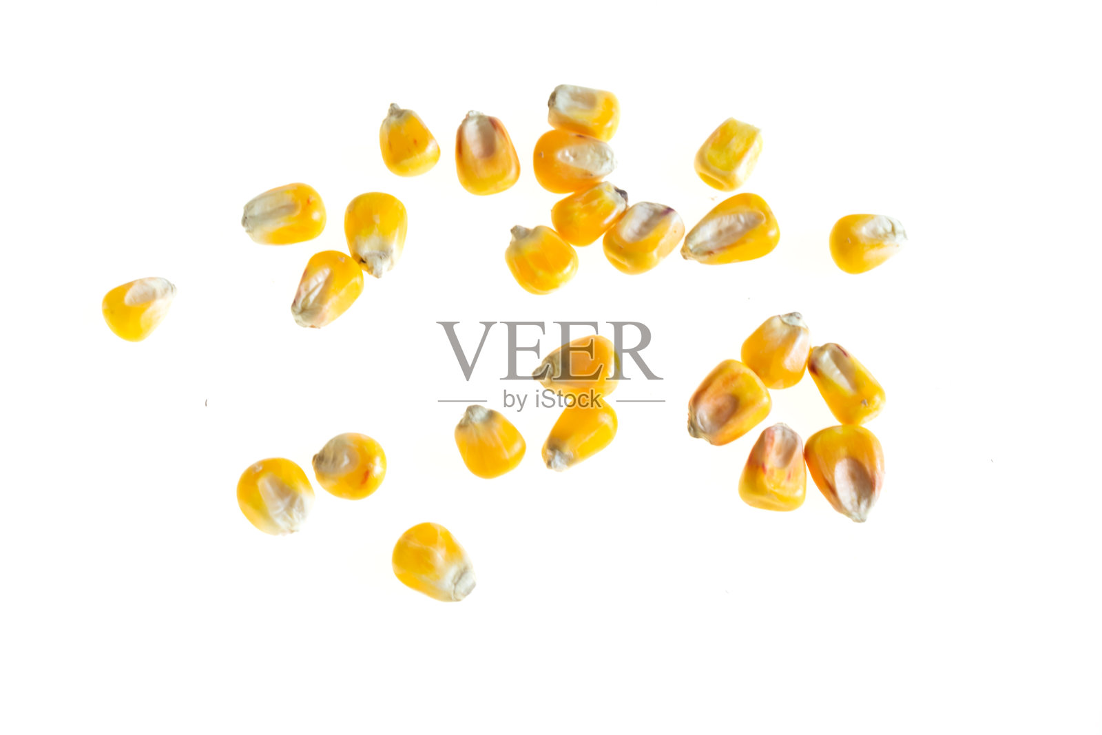 白色背景上的玉米粒照片摄影图片