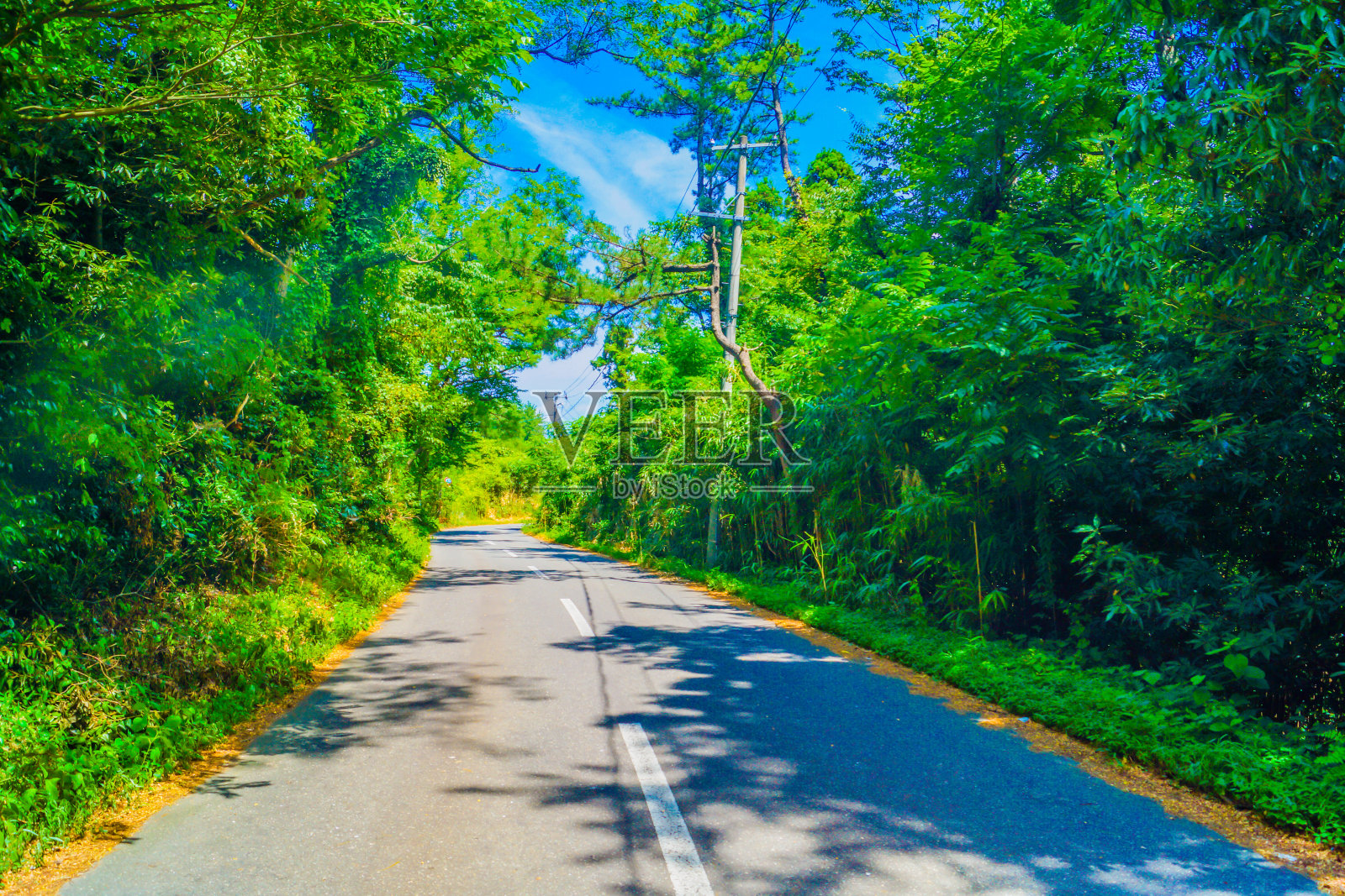 秋田县的乡村景观照片摄影图片