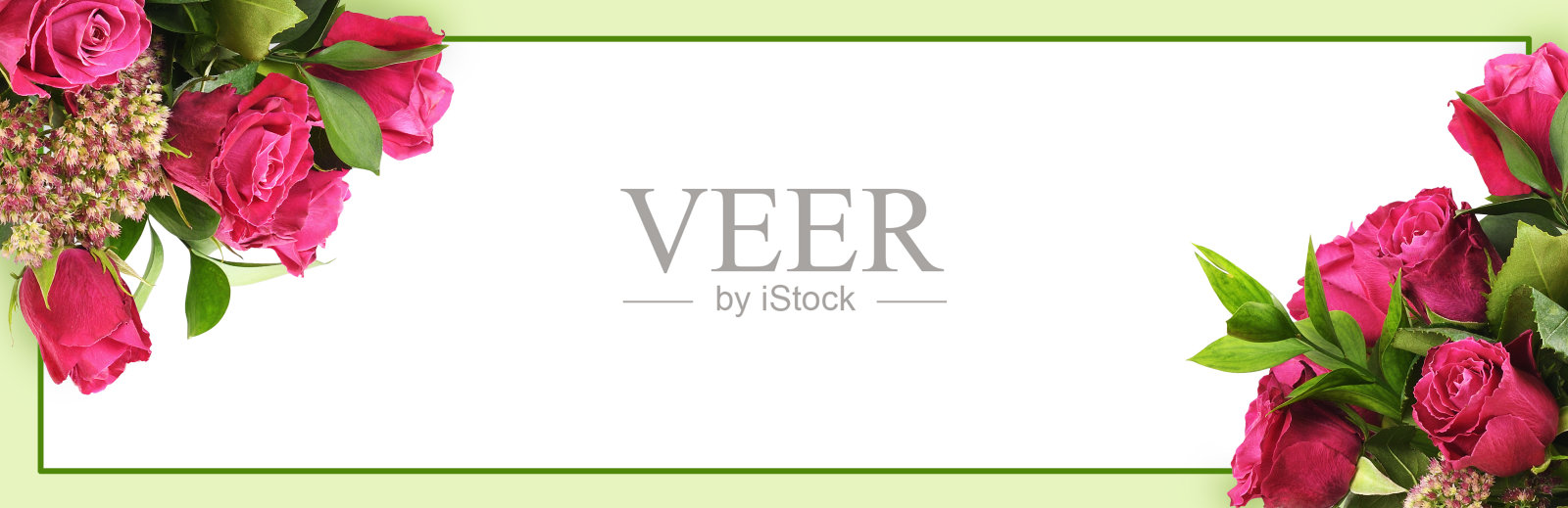 角落安排与粉红色的玫瑰花和绿色框架孤立在白色照片摄影图片